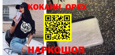 молекула духа Донецк
