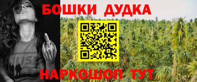 молекула духа Донецк