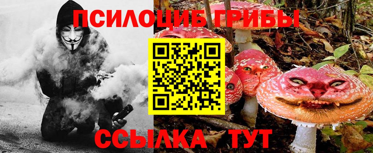 Псилоцибиновые грибы Psilocybe  Вход с VPN  Нефтекумск  Псилоцибиновые грибы прущие грибы 